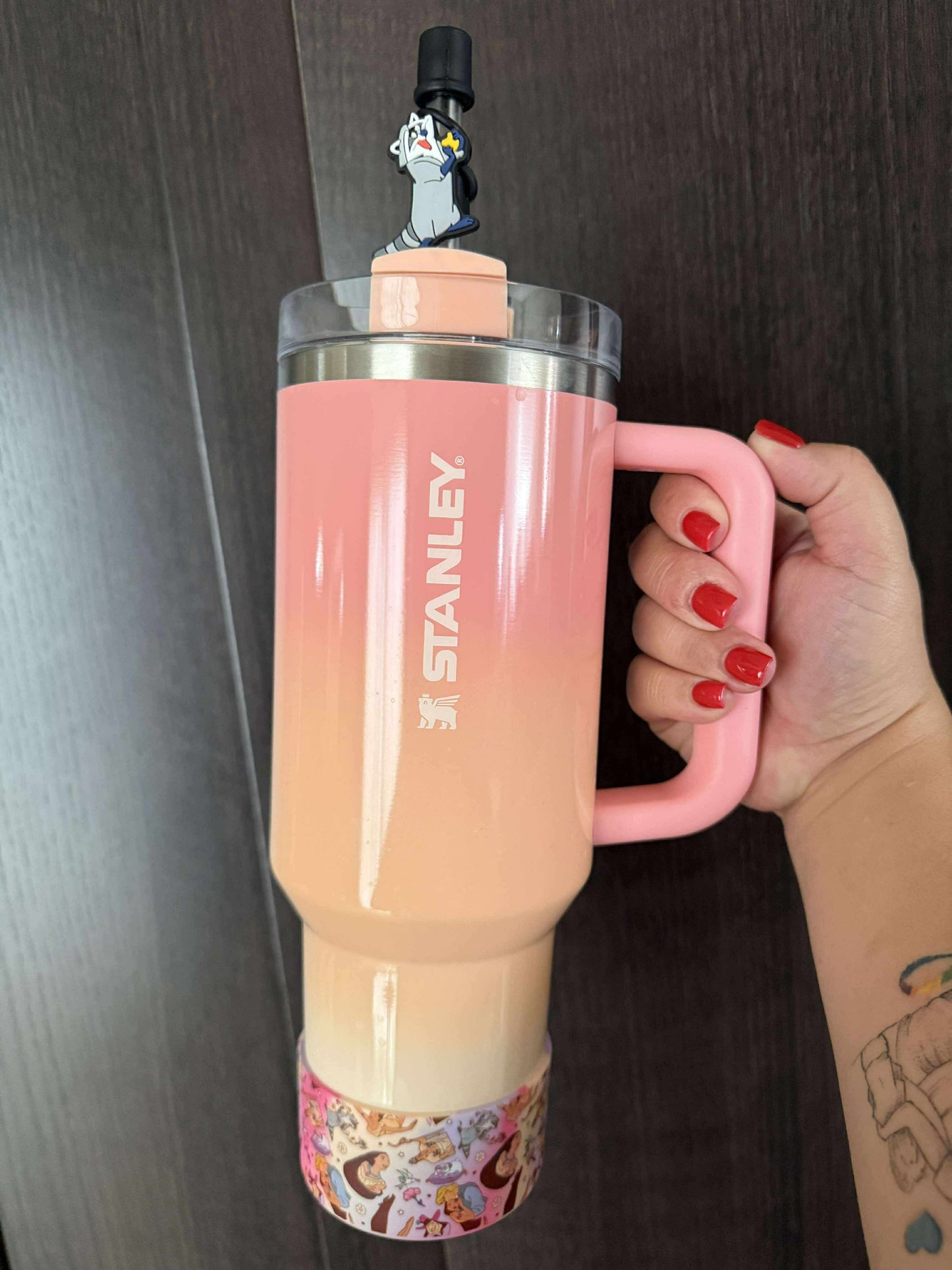 Colors of the Wind - Silicone Tumbler Boot