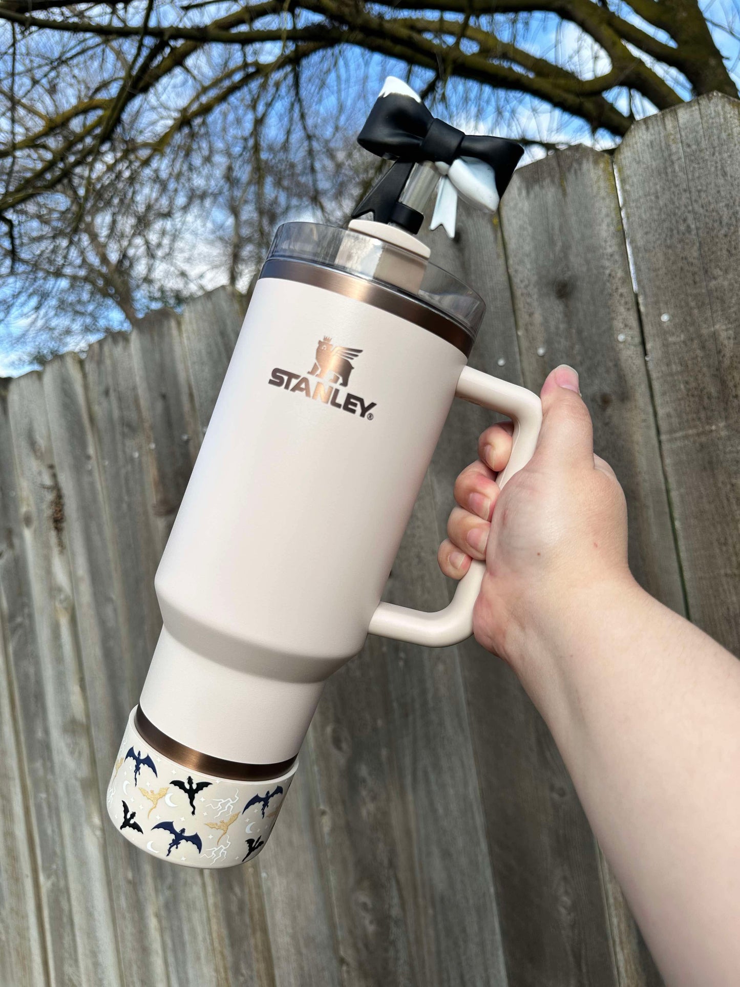 Dragons of Basgaith Silicone Tumbler Boot